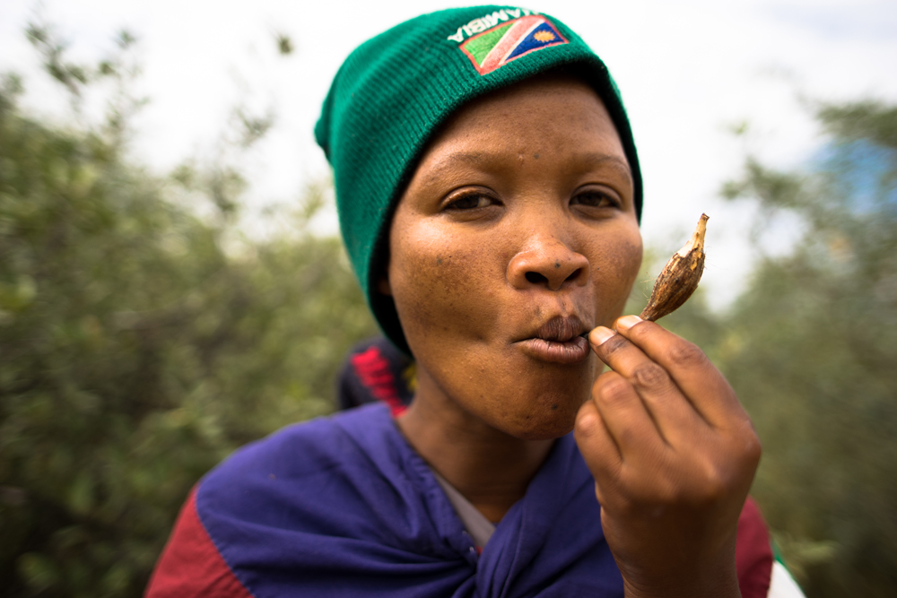 kalahari bushmen food