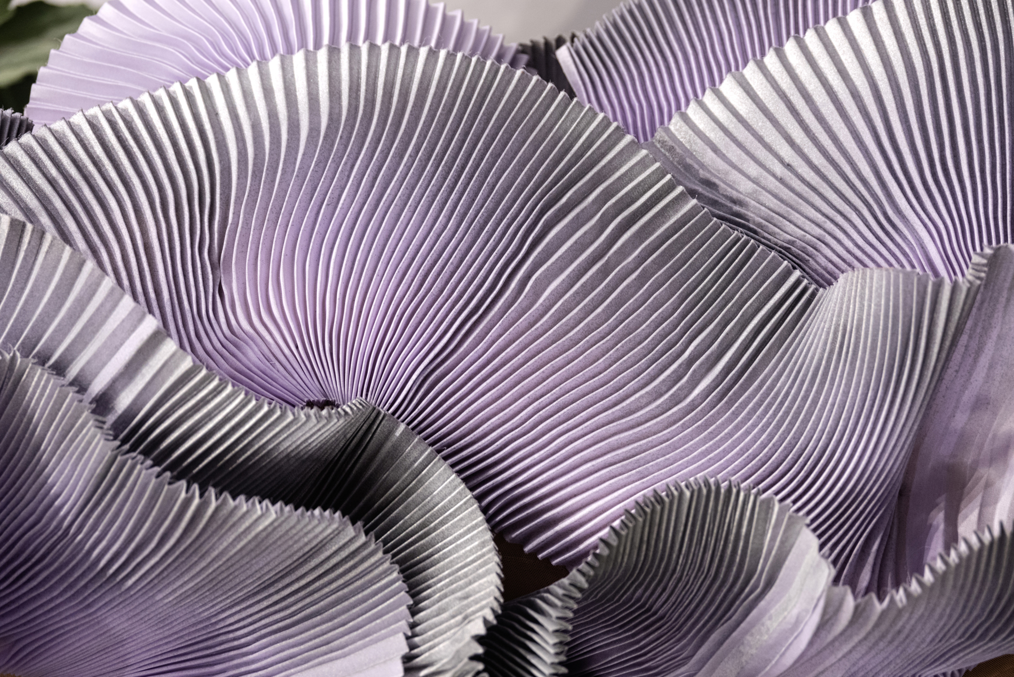The Art Of Pleating Maison Du Pli